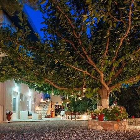 Dimitra Apartments Kandia Dış mekan fotoğraf