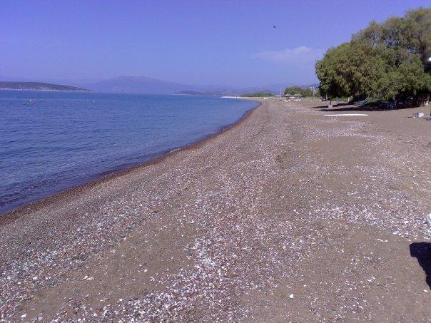 Dimitra Apartments Kandia Dış mekan fotoğraf